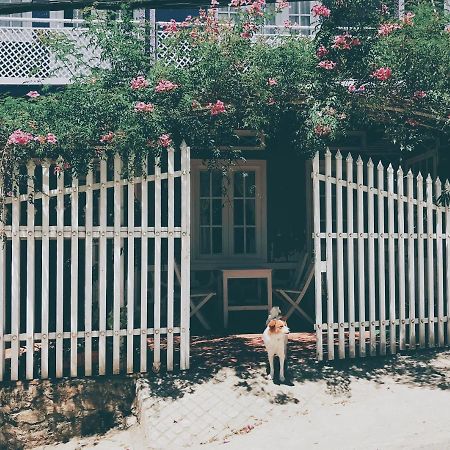 Nhà Tím Homestay Đà Lạt Extérieur photo