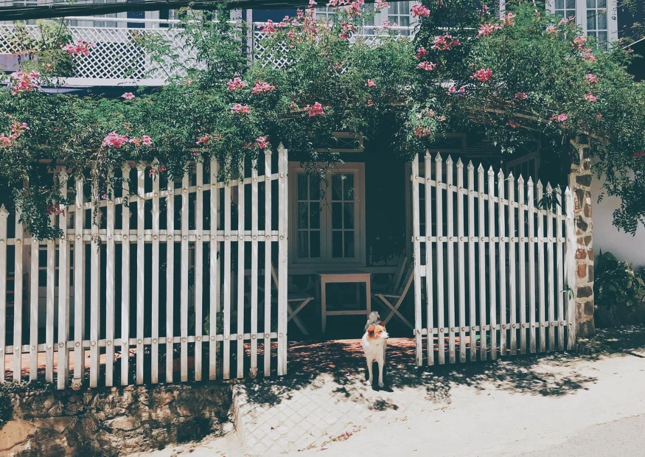Nhà Tím Homestay Đà Lạt Extérieur photo