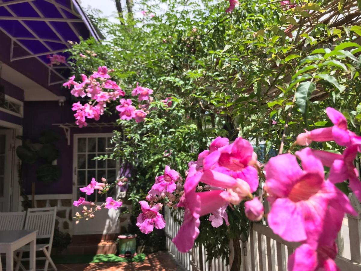 Nhà Tím Homestay Đà Lạt Extérieur photo