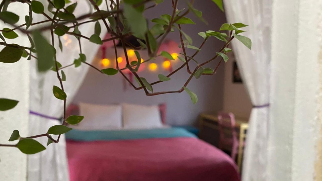 Nhà Tím Homestay Đà Lạt Extérieur photo