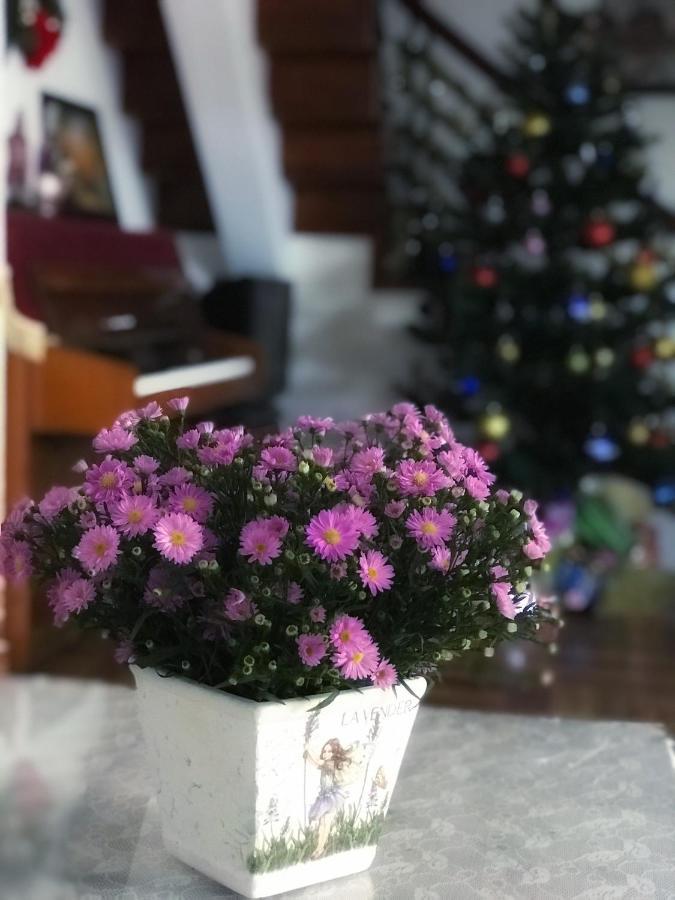 Nhà Tím Homestay Đà Lạt Extérieur photo